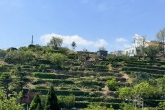 伊萨克来了，埃基蒂克怎么办？共存还是二选一，斯洛特有了新烦恼